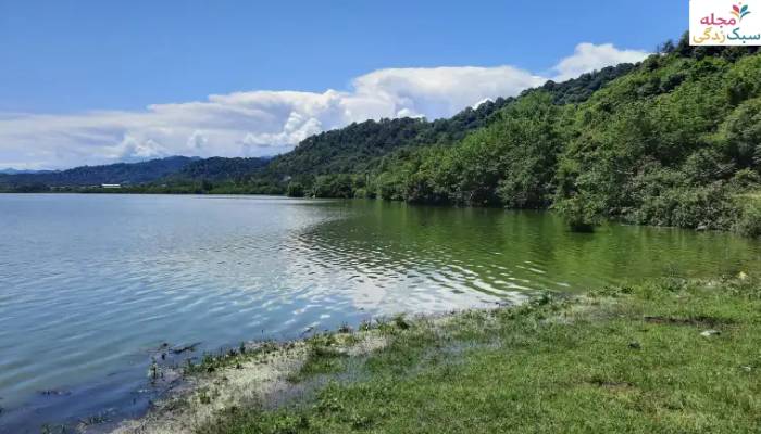 تالاب استیل