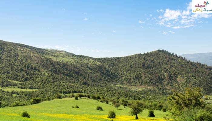 ییلاق سی دشت