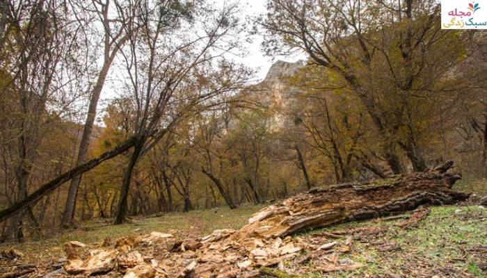 سفر به تنکابن در پاییز