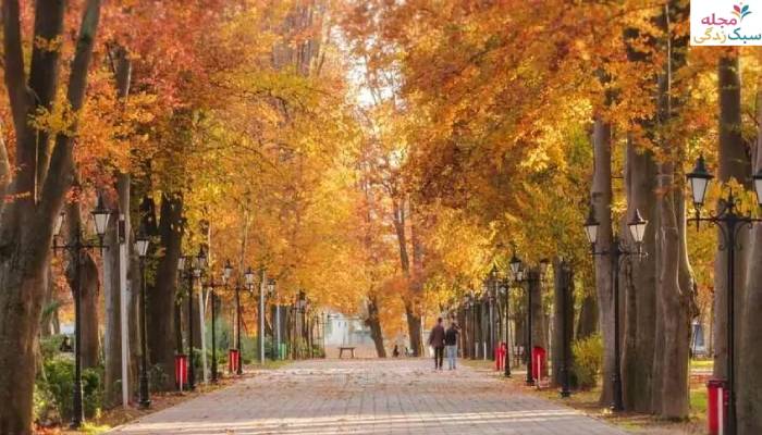 سفر به رشت در پاییز