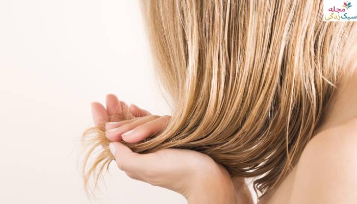 موی چرب به چه مویی گفته میشود