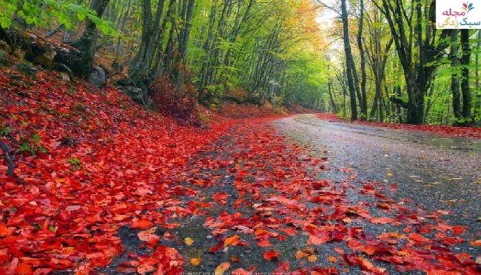 دیدنی های مازندران در پاییز