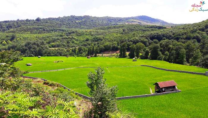 بهترین فصل سفر به سوادکوه و نکات مهم سفر