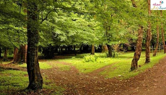 مکان های دیدنی اطراف ایزدشهر