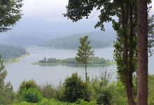 جاهای دیدنی سوادکوه؛ از جنگل‌های بکر تا دریاچه های آرام