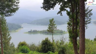 جاهای دیدنی سوادکوه؛ از جنگل‌های بکر تا دریاچه های آرام