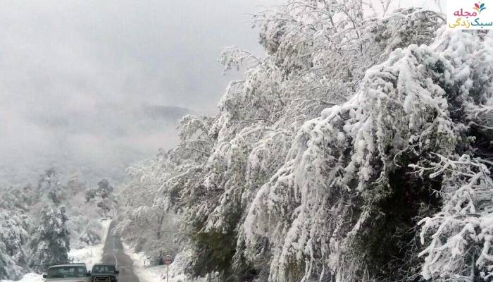 سفر به ساری در زمستان