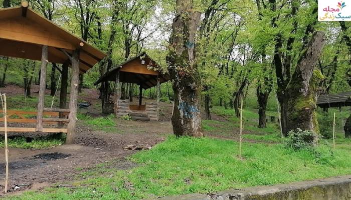 راهنمای سفر به ساری؛ پارک ملل و پارک جنگلی شهید زارع