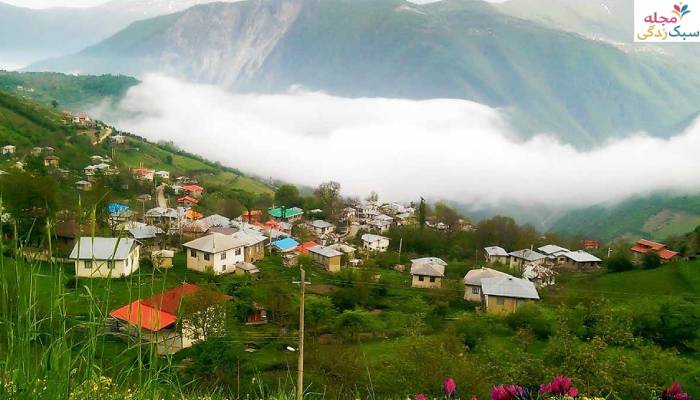 جاهای دیدنی رامسر در پاییز؛ جنگل دالخانی