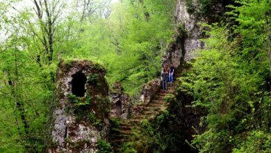 پارک جنگلی قلعه رودخان