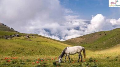 سوباتان تالش راهنمای کامل سفر به ییلاق بهشتی گیلان