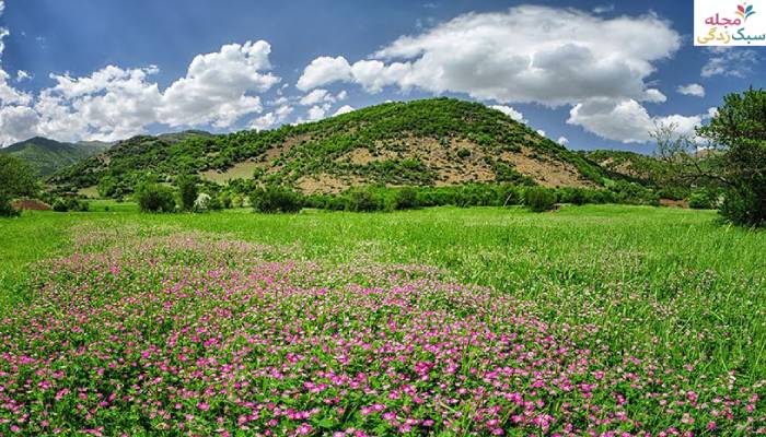 ییلاق آق اولر تالش