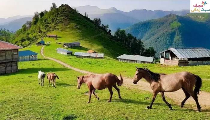 ییلاق اسب سرا تالش