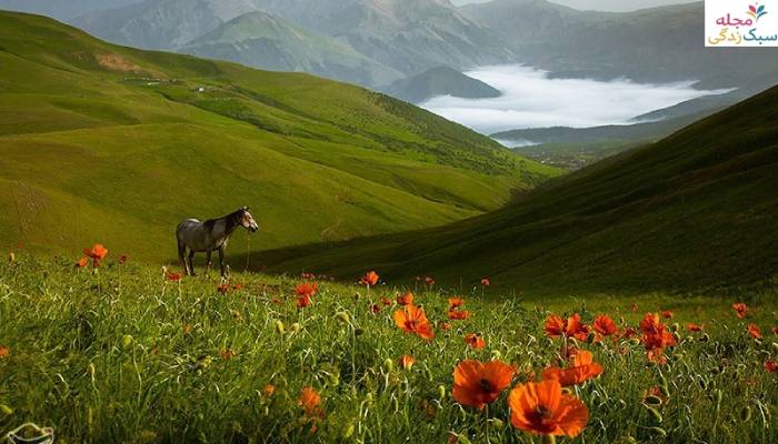 شکردشت از ییلاقات تالش