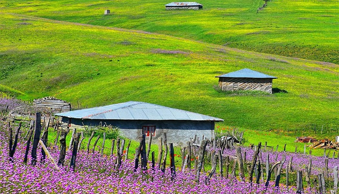 روستای شکردشت؛ روستای تالش