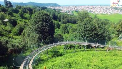 سورتمه تالش؛ تجربه ای هیجان انگیز در دل طبیعت گیلان